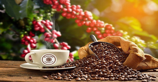 The Good And Bad Of Coffee all you need to know Good And Bad Coffee