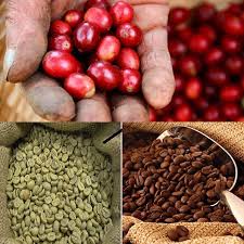 How long is coffee good for? Does coffee expire? How to make it stay fresh longer? | Kafetos Coffee