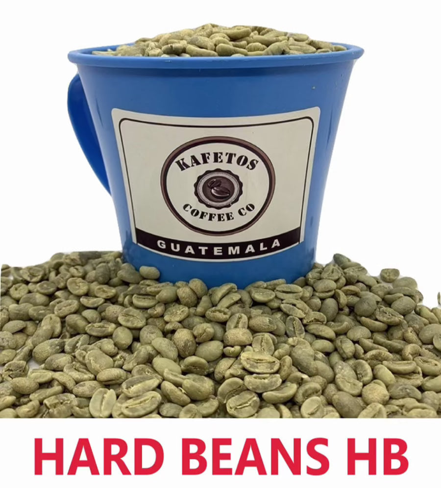 Specialty green coffee outlet beans