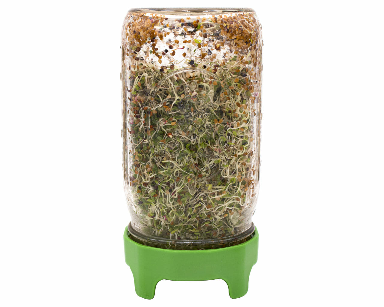 Rust Proof Sprouting Lid with Built-In Stand for Wide Mouth Mason Jars