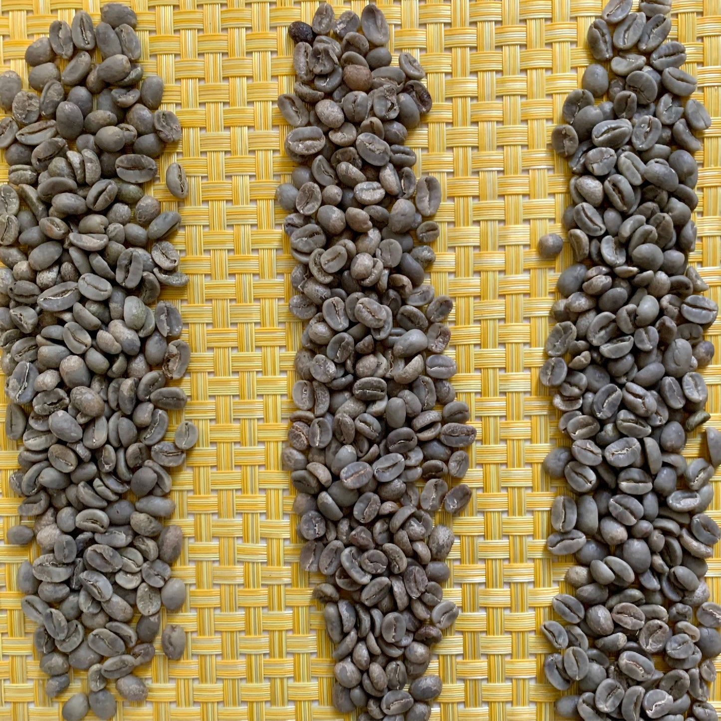 Variety Sampler Pack Type of Coffee Beans, Guatemala