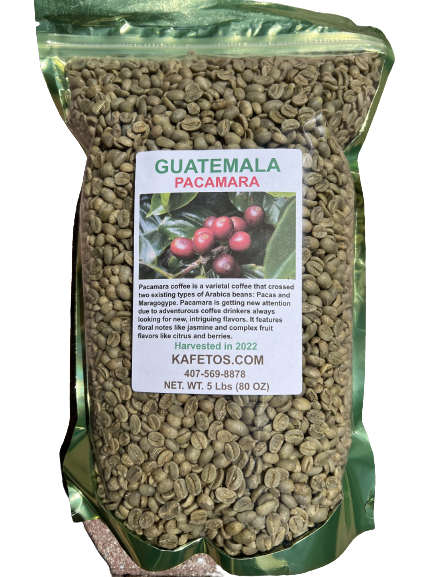 Pacamara Coffee Beans