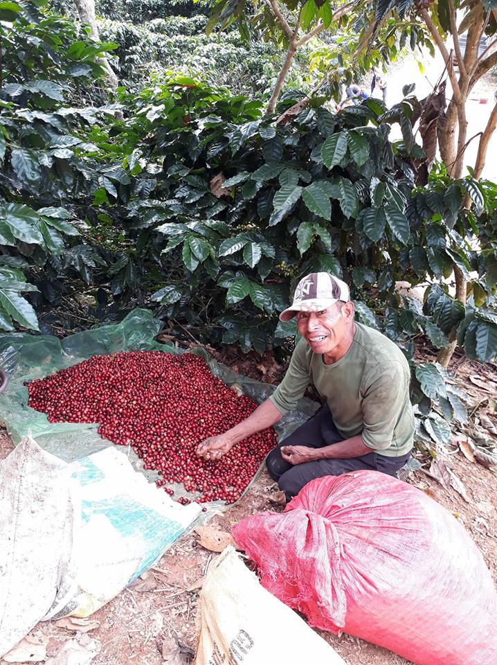 Coffee Growers Are More Important Than Coffee Makers | Kafetos Coffee
