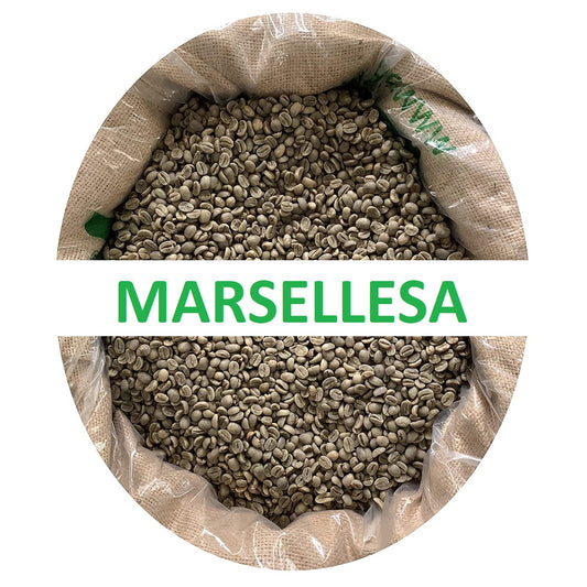 MARSELLESA Premium Specialty Grade -2026 CROPS-