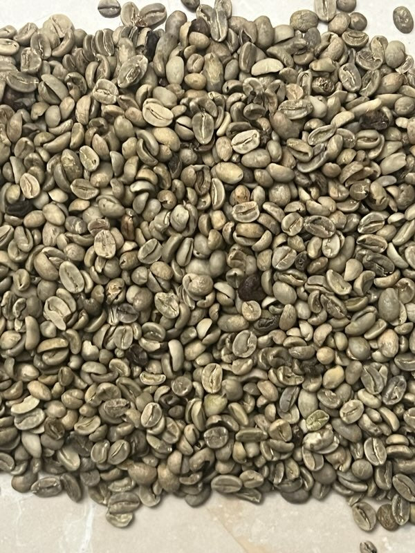 (5 Lbs) Guatemala Grade 2 Green Coffee Beans (FREE SHIPPING)