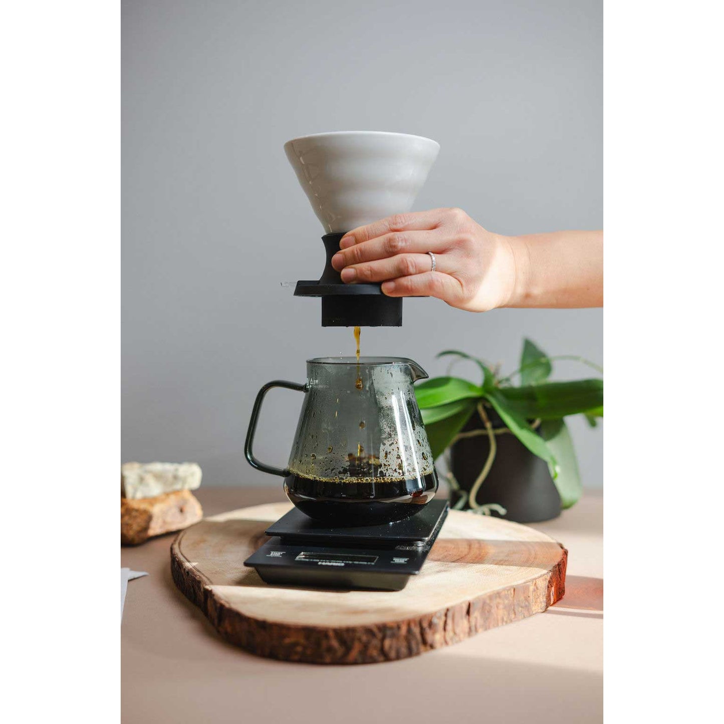 Hario Switch Immersion Coffee Dripper 02 - Ceramic