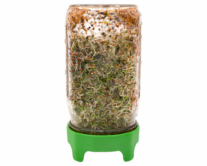 Rust Proof Sprouting Lid with Built-In Stand for Wide Mouth Mason Jars