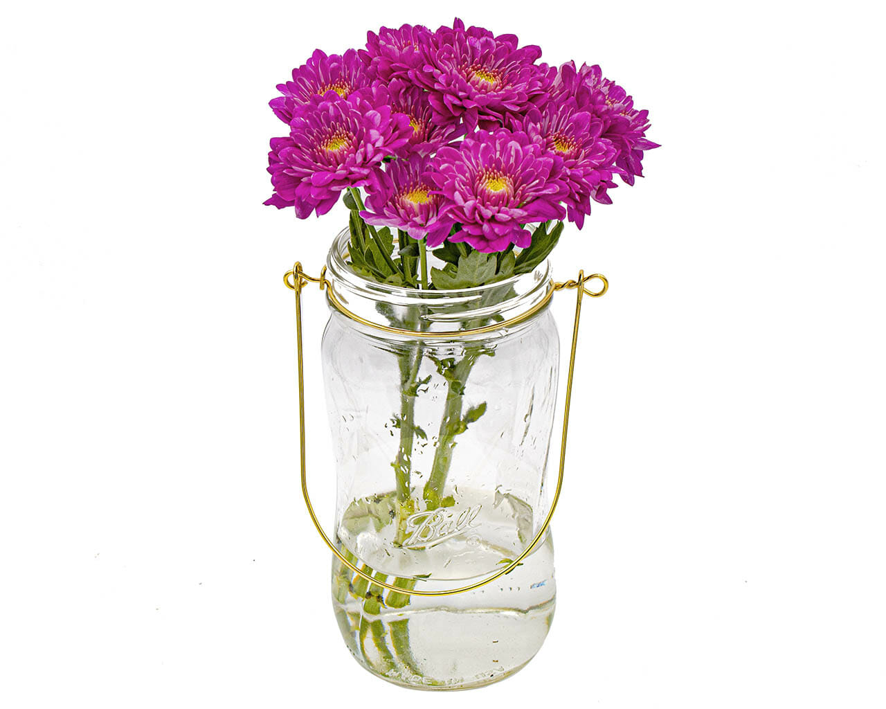 Gold Wire Handles for Mason Jars 6 Pack