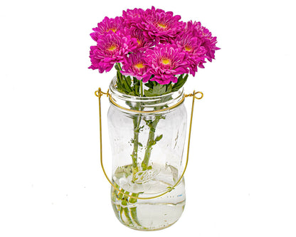 Gold Wire Handles for Mason Jars 6 Pack