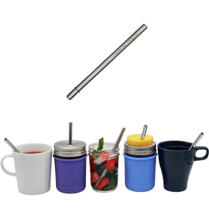 Individual Stainless Steel & Glass Straws for Mason Jars