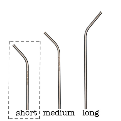 Individual Stainless Steel & Glass Straws for Mason Jars