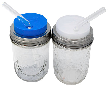 Individual Stainless Steel & Glass Straws for Mason Jars