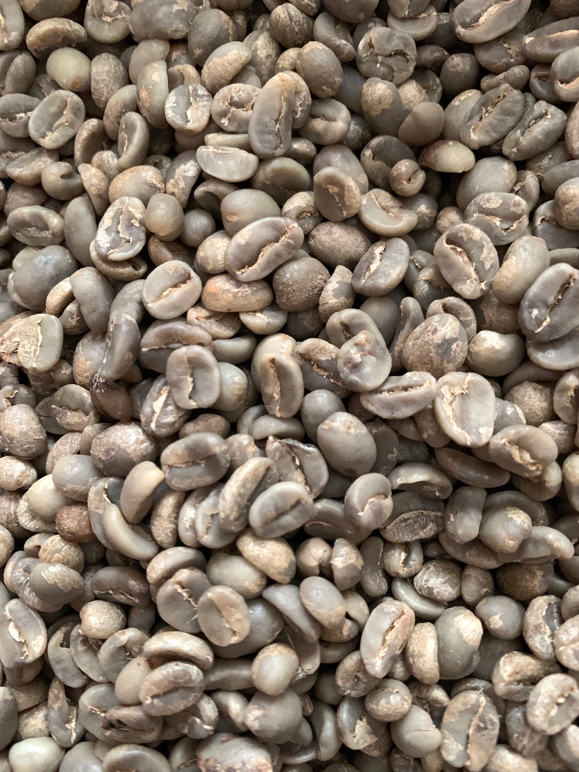 Marsellesa - Guatemala Green Coffee Specialty Grade- 5 lbs