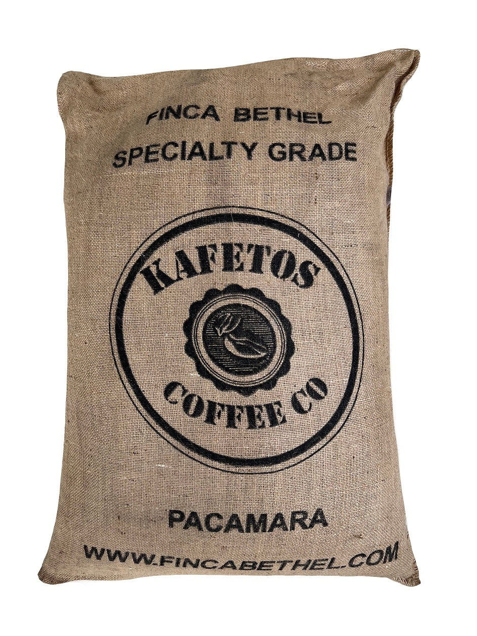 PACAMARA Varietal, Guatemala Green Coffee Specialty Grade - 5 lbs. FREE SHIPPING