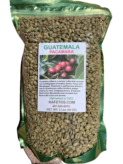 Pacamara Coffee Beans